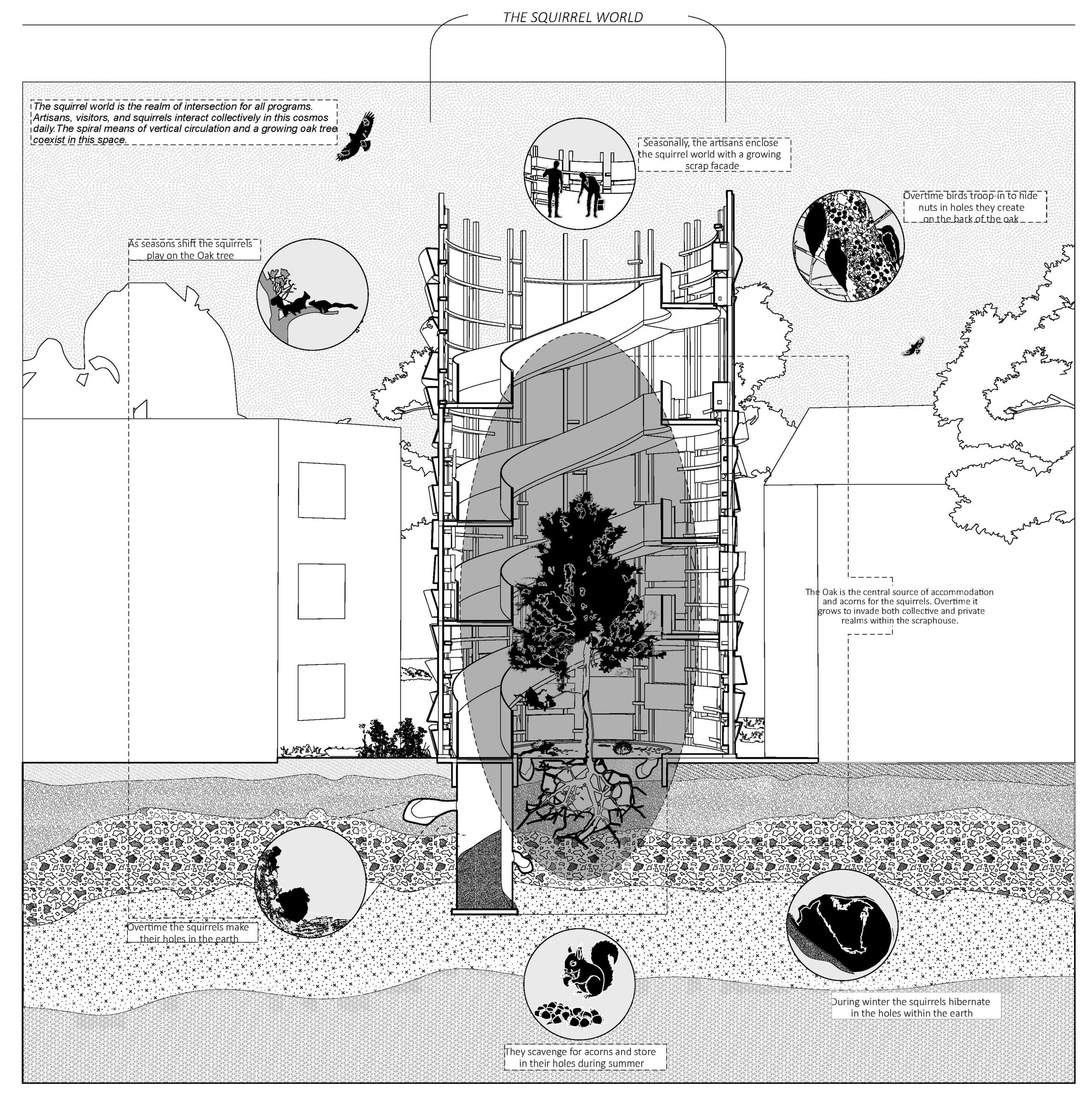 Annotated section of the Squirrel World, a spiral ramp wrapping a mature oak tree, tracing the squirrels' seasonal habits alongside the artisans' routines.