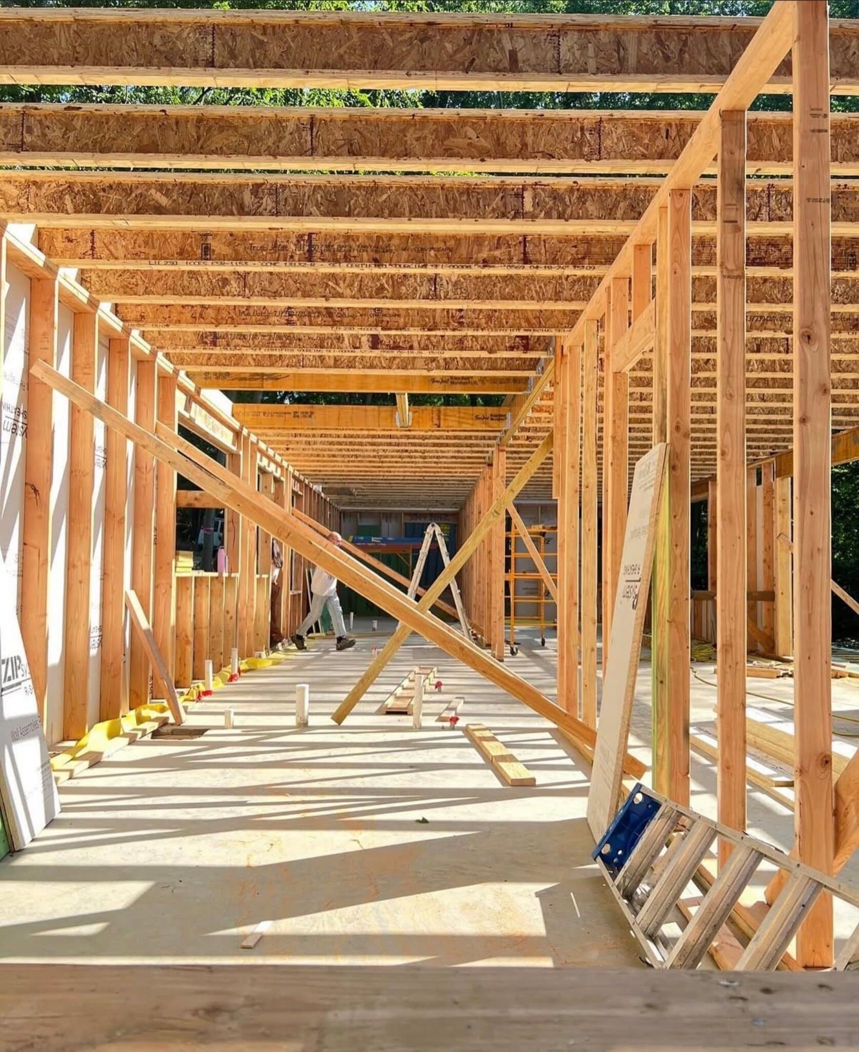 Construction photograph looking through the completed timber wall framing, sunlight streaming through the exposed structure.